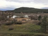 Swanson Lakes Wildlife Area Restoration Project — Spokane Audubon Society