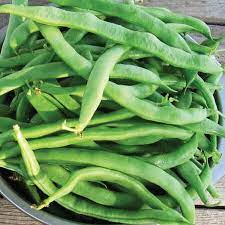 Click to enlargeclick to enlarge. Kentucky Wonder 125 Bean Seeds Urban Farmer