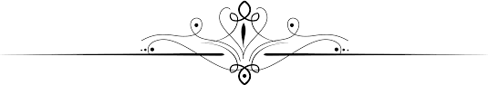 Image result for line separator png