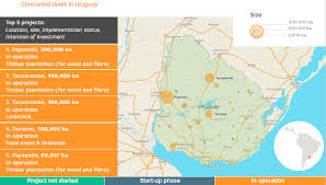 In this section, you can see where paysandú is located on one of the most popular mapping services, among which openstreetmap, google maps. Land Matrix