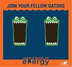 Image result for UF Energy Product Wellness Care