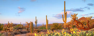 Operating hours, phone number, services information, and other locations near you. Things To Do Near Our Scottsdale Resort Adero Scottsdale