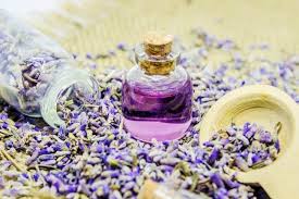 Comprenez Comment Faire Et Utiliser L Huile Essentielle De Lavande Huile De Lavande Cheveux Couleur Lavande Huile Pour Cheveux