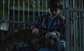 Are you searching for best movie character names for dogs? It Took Five Pups To Play Heroic Veteran Dog Max In Upcoming Movie Barkpost