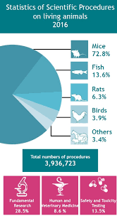 Numbers Of Animals Understanding Animal Research