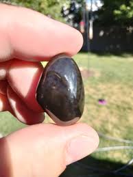 Image result for Colorado Agate 1956 Wayne Works