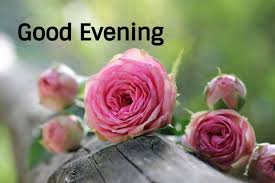 Let her know how you feel, when she is sleeping and hopefully dreaming of you. Beautiful Good Evening Flower Images Free Download Good Morning