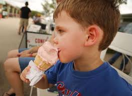 Talent show, rides, rodeo and an auction highlight the Kane County Fair