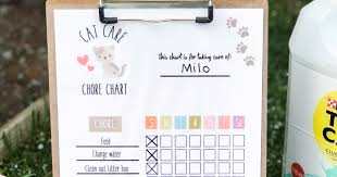Cat Care Chore Chart