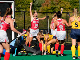 Image result for Emilia hockii