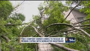 Turn To Tara: Tree removal company comes to aid of White Plains woman