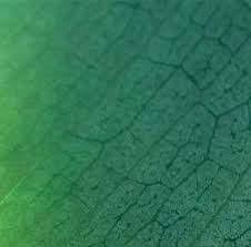 Keren 30 Background Warna Hijau Hd Here S 100 Awesome Iphone 6 Wallpapers Iphone Wallpaper Download Wa In 2020 Iphone 6 Wallpaper Download Background Vector Photo