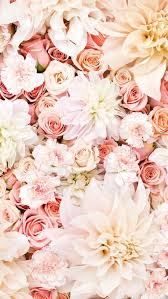 Iphone Pink Flowers Wallpaper Floral Wallpaper Iphone Pretty Wallpaper Iphone Flower Wallpaper