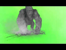 green screen 40 essential effects green screen video backgrounds greenscreen green screen footage