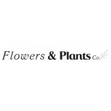 Getting ferns n petals discount code is very easy with coupon.ae. Flowers Plants Co Discount Codes Vouchers 20 Off July 2021