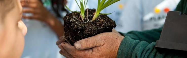Volunteer in Illinois with The Nature Conservancy
