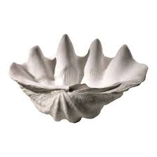 Check spelling or type a new query. Shell Plaster Abstract Decorative Bowl In White Cyan Design Decorative Bowls Giant Clam Shell