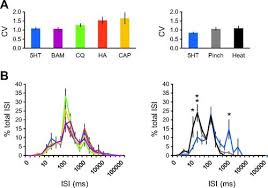 Curriculum vitae personal details surnname: Characterization Of Pruriceptive Trigeminothalamic Tract Neurons In Rats Journal Of Neurophysiology