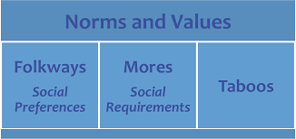 Norms And Values Have 3 Different Subtypes Folkways Mores And Taboos All Cultures Have These Three Types Each Type Has A Di Norms And Values Taboo Culture