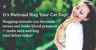 The intention is not for the day to be complicated or over thought. June 4 Is National Hug Your Cat Day Cattime