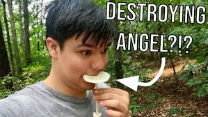 Let's Play Echo Part 63