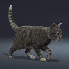 Find professional cat 3d models for any 3d design projects like virtual reality (vr), augmented reality (ar), games, 3d visualization or animation. Cat With Fur Animated 3d Model Best Of 3d Models