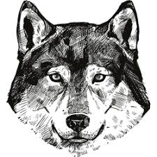 We did not find results for: Wolf Tattoo Vorlagen Fur Tatowierungen Mit Wolfen