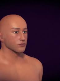 Hoe ziet een plompe lori?