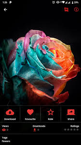 Wallpaper application for windows 10 is available with tens of thousands of high definition wallpapers for you to. Universal Wallpaper Android App Hd Full Hd 4k Ultra Hd Wallpapers Hd Wallpaper Android Android Wallpaper Hd Nature Christmas Wallpaper Iphone Tumblr