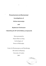 Image result for Ochna macrocalyx