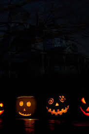 Pumpkins Marchen Garten Garten