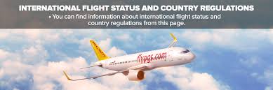 He is the son of neptune the god of the sea and the gorgon medusa and the twin brother of chrysaor. Where Can I Fly During The Coronavirus Covid 19 Pegasus Airlines