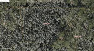 Maybe you would like to learn more about one of these? Columbia Homes For Sale Columbia Nc Real Estate Movoto