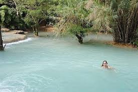 Pool Swimming Us Natural Pool Natural Swimming Pools Swimming Pond