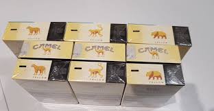 Make a saddle by measuring the inner size of the seat. Camel Packs Full Empty Collectors Germany Posts Facebook