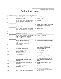 Endocrine Match Worksheet