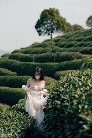 迷口@mixmico3 - Twitter Profile | Sotwe