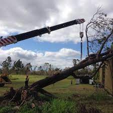 Tree service providing all aspects of tree pruning, removal, maintenance, stump grinding, and large land clearing projects. All Aspects Tree Services Qld Home Facebook