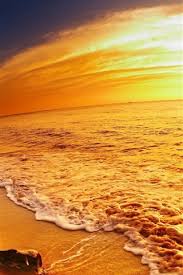 Check spelling or type a new query. Sea Beach Golden Style Sunset 750x1334 Iphone 8 7 6 6s Wallpaper Background Picture Image