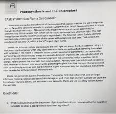 Schultz is a professor in the division of plant sciences at the university of missouri in columbia, and has spent four decades investigating the interactions between plants and insects. 6 Photosynthesis And The Chloroplast Case Study Can Chegg Com