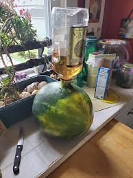 Puree the watermelon in a blender until very smooth. Adult Watermelon For Bbq S Recipe Allrecipes