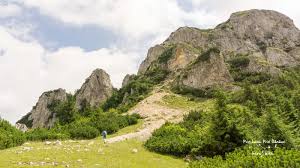 We did not find results for: Prima Intalnire Cu Piatra Craiului Traseul Spre Piatra Mica Si Crucea Din Carpati Prin Lume Prin Ganduri