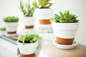 Painting terracotta pots is a fun way to add color to your home or garden. Fun Ways To Decorate Your Flower Pots