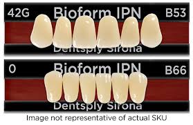 Bioform Ipn Denture Teeth Posterior 30 Degree Pt Lower