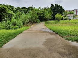 At tampines eco green, nature lovers can go bird watching and nature appreciation. Tampines Eco Green Picture Of Tampines Eco Green Singapore Tripadvisor