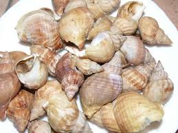 800 G A 1 Kg De Bulots Thym Sel Et Poivre Algues Sechees Facultatif Cuisson Escargot Recettes De Cuisine Recette