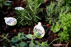 Damit man eine gute übersicht mit den kindern erhält, kann man sich einen ganzen kleinen kasten für die pflanzungen holen. Rucolasalat Mit Wassermelone Real Mein Kleiner Bio Garten