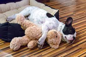 Pups make a sound of hiccup that is like human. My Dog Makes Hiccup Noise When Sleeping How Come Dogdorable