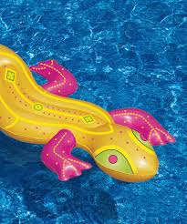 Another Great Find On Zulily Lounge Lizard Float By Swimline Zulilyfinds Cute Pool Floats Swimline Float