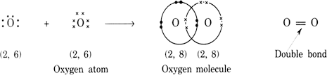 Covalent bonding in Nitrogen N2